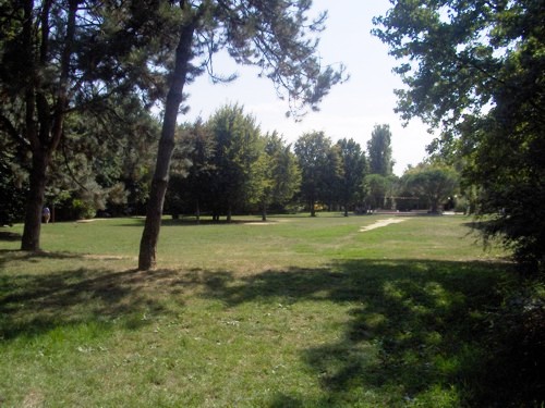 foto di una zona pi&ugrave; alberata